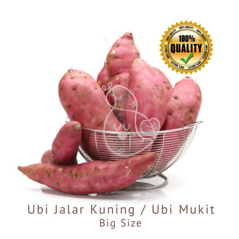 

Ubi Jalar Merah 1kg / Mukit / Ubimart Official