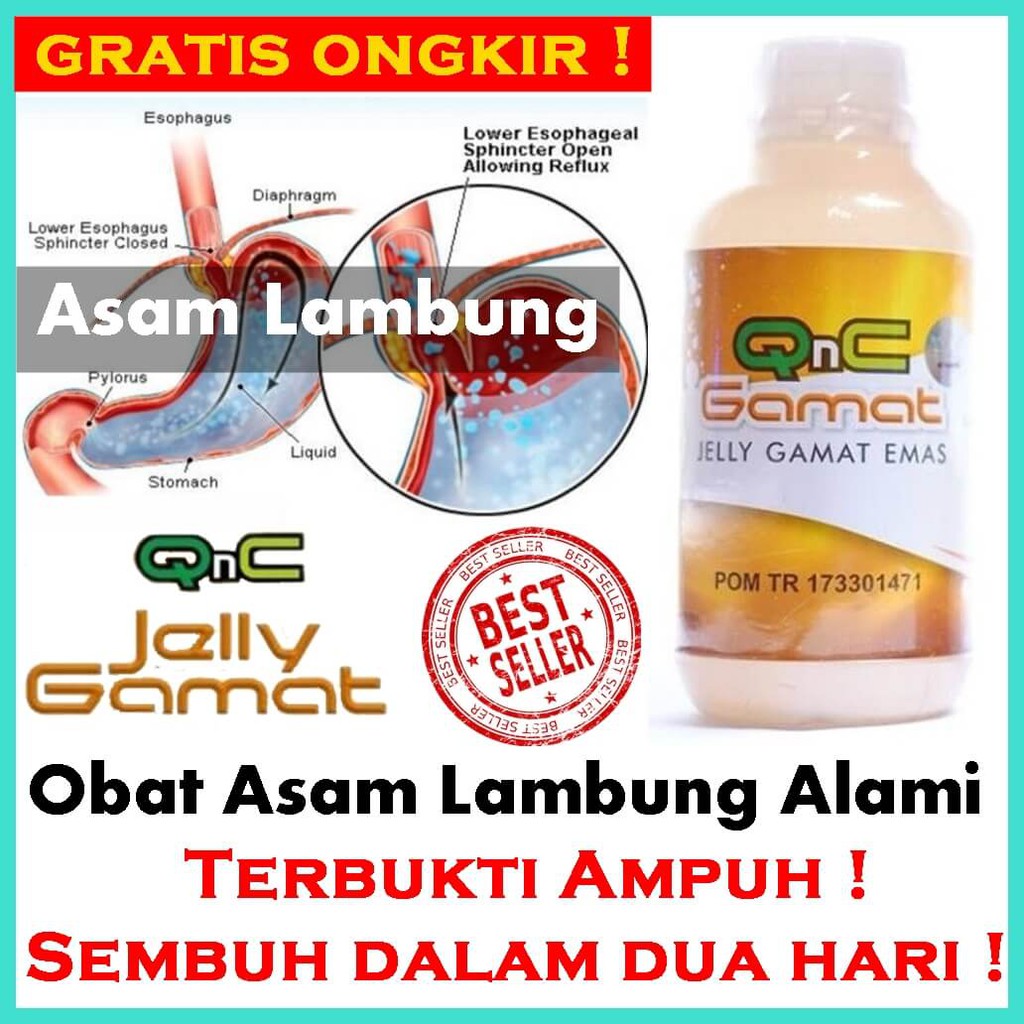 Obat Asam Lambung Alami Tradisional 2 Hari Sembuh Jelly Gamat Qnc Indonesia