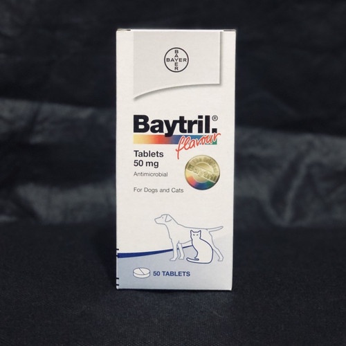 PROMO BAYTRIL FLAVOUR TABLET 50 MG / ANTIBIOTIK ANJING KUCING
