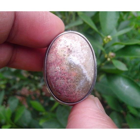 Natural Batu Akik Teratai/Lipan/Sarang Tawon Dll #5