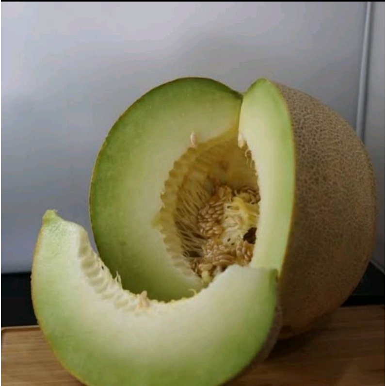 

melon madu harga per biji