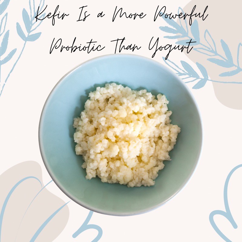 

Bibit Kefir ASLI / Kefir Grains 50gr