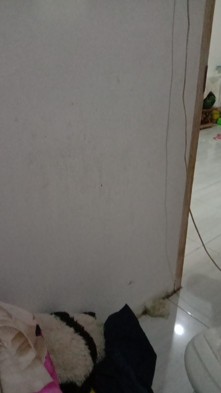 Alat Pemeras Jeruk Merk Gse - Alat Peras Jeruk - Alat Peras Jeruk Nipis