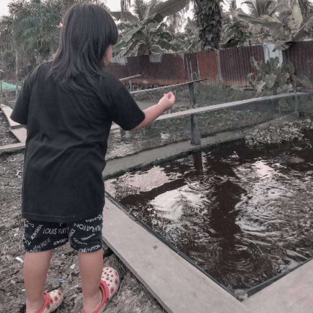 deltanorantikanurman