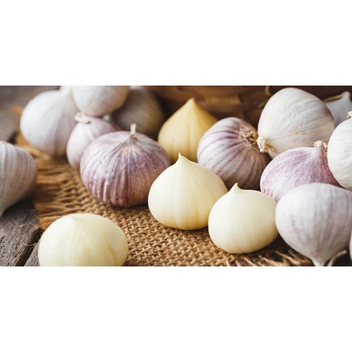 

Bawang Tunggal / Black garlic 100gram HERBAL BERMACAM KHASIAT