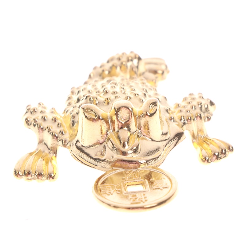 &lt; E2id &amp; &gt; 5Pcs / Set Gantungan Kunci Feng Shui Pocket Toad Frog Fortune