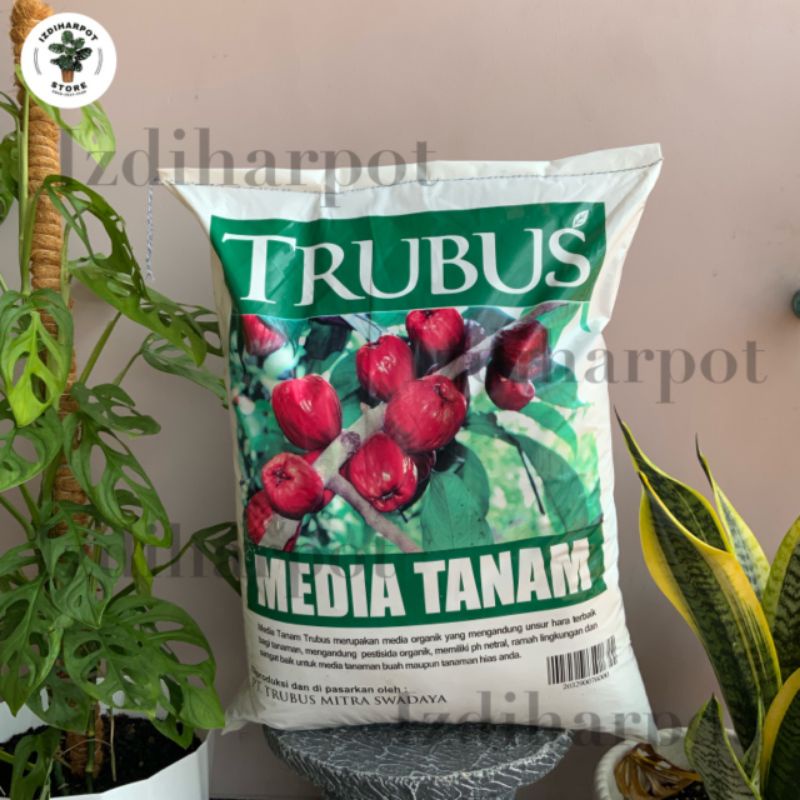 tanah untuk tanaman media tanam organik TRUBUS - siap pakai trubus