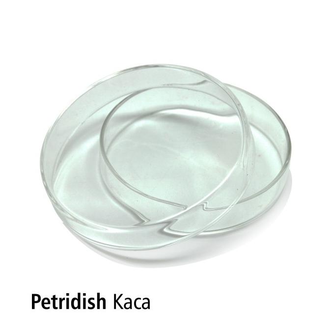 Jual Cawan Petri Dish X Mm Borosilicate Glass Indonesia Shopee