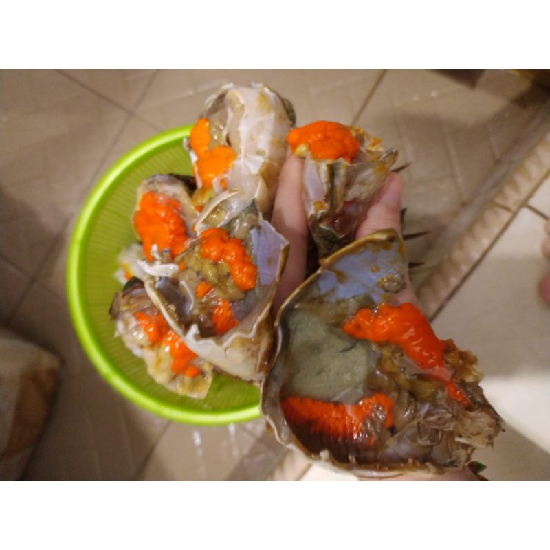 

Kepiting Jumbo 1kg