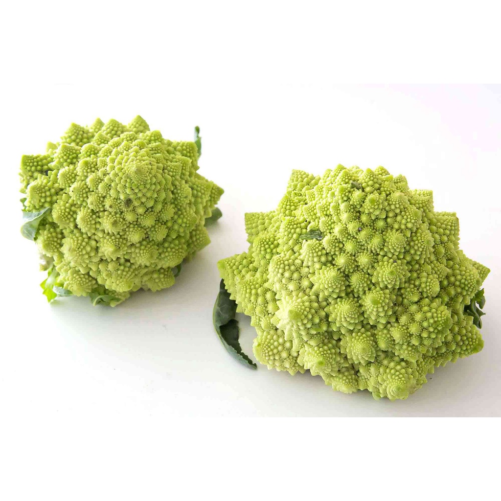 Benih Bibit Biji - Cauliflower Romanesco Natalino Kembang Bunga Kol Hijau Limau Brokoli Seeds - IMPORT