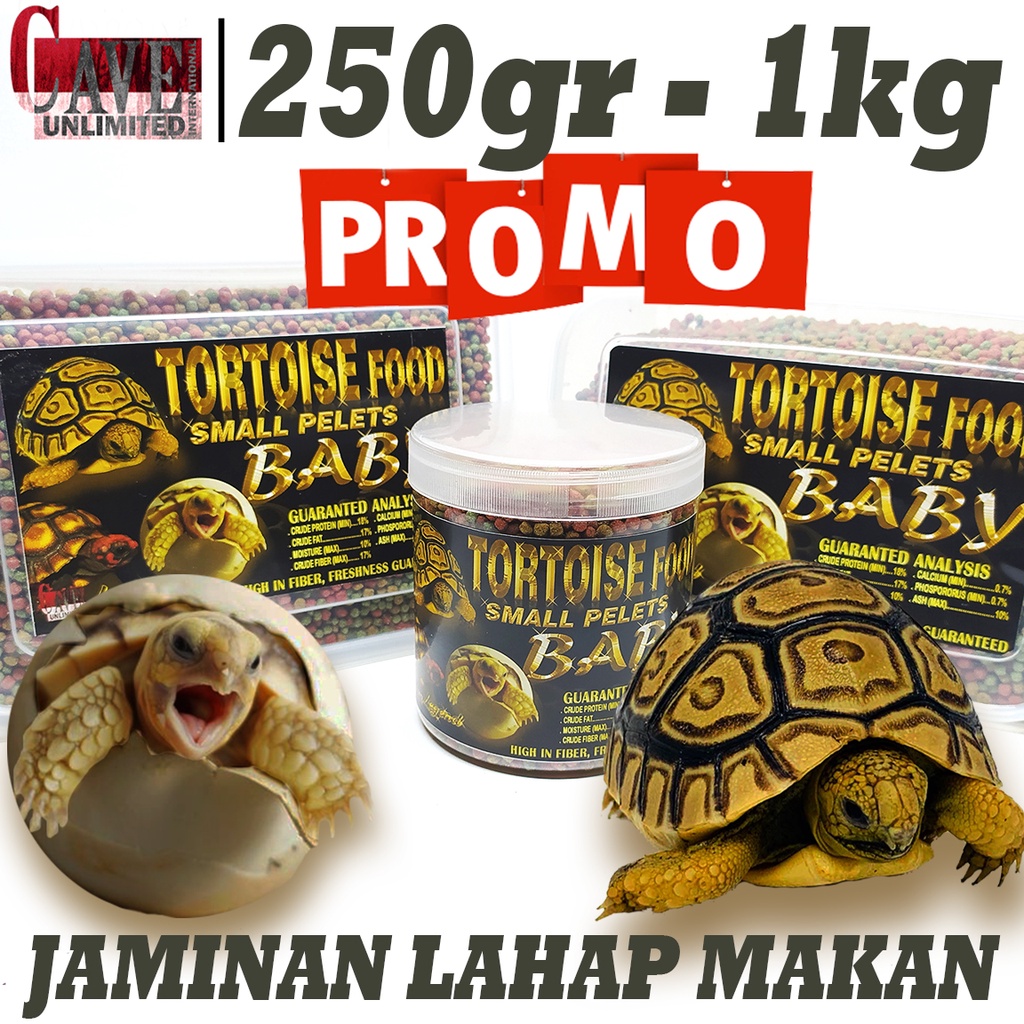 MAKANAN PAKAN BABY BAYI TORTOISE FOOD TORTO PELET KURA KURA DARAT SULCATA SULKATA PARDALIS ALDABRA I