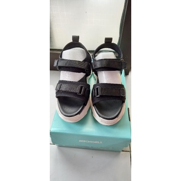 Sendal kronikel project