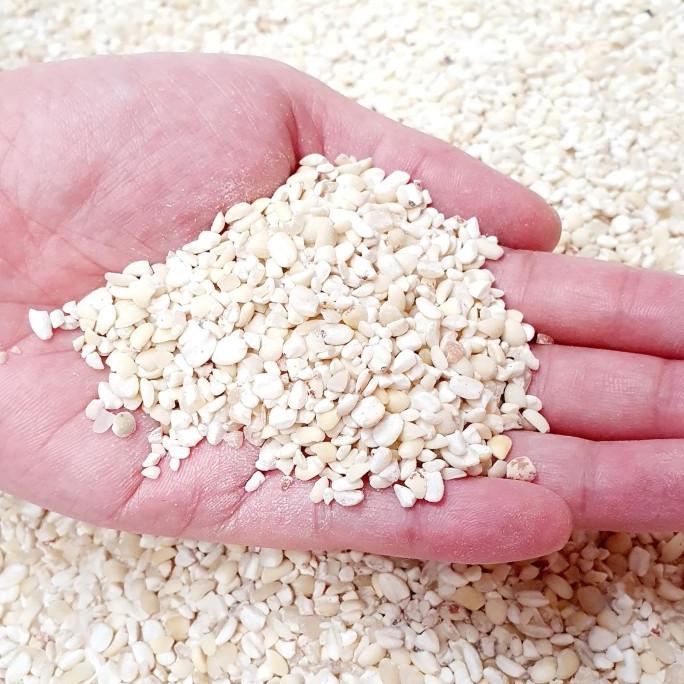 

TERMURAH Jali Jali Aceh | Barley - 250 gr AP196