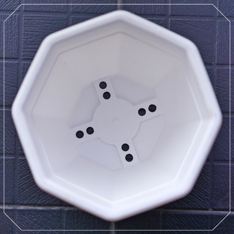 [NEW] Pot Bunga Putih 25 | Pot Putih Tanaman Octagon | Jardin Victoria | Pot Modern Cantik Minimalis