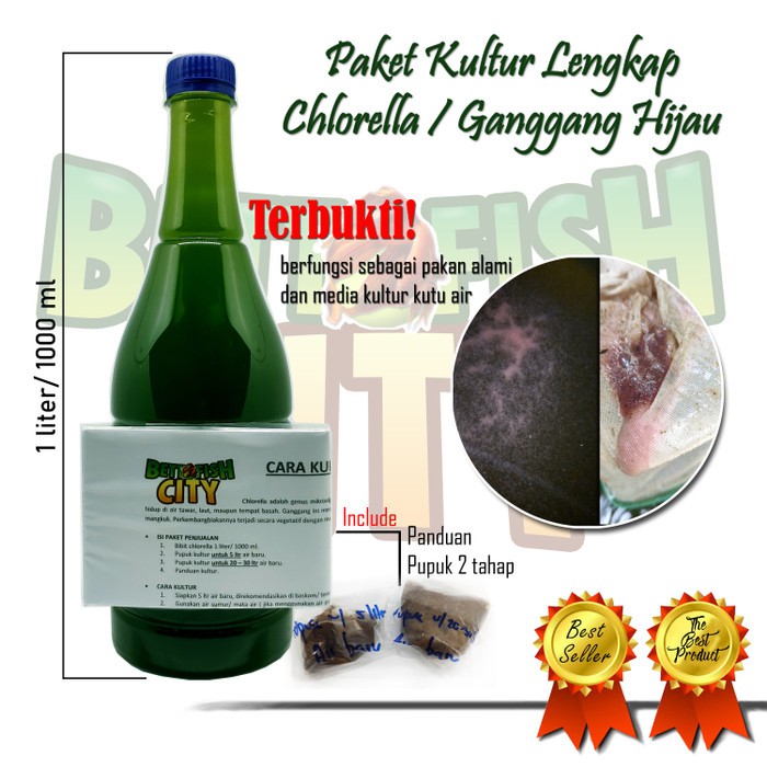 Free Ongkir Chlorella Bibit Kultur Pakan Kutu Air Special