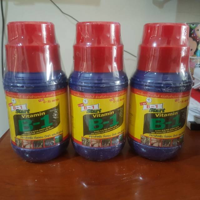 PUPUK B1 THAILAND 500ML
