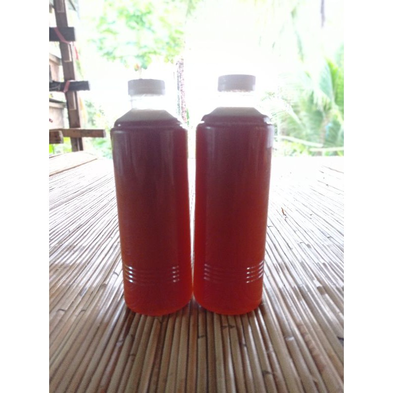 

Madu Trigona
