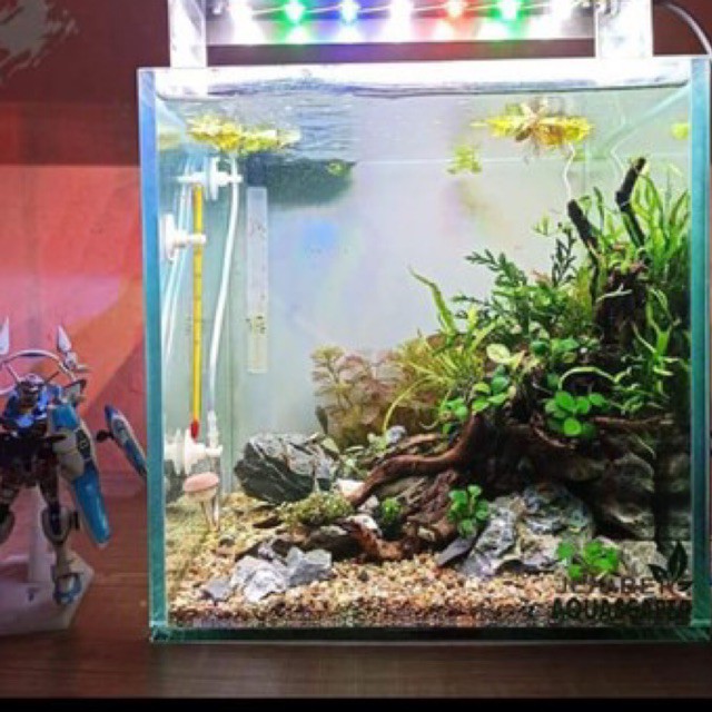 AQUASCAPE FULLSET