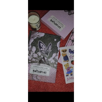 novel abel butterflies