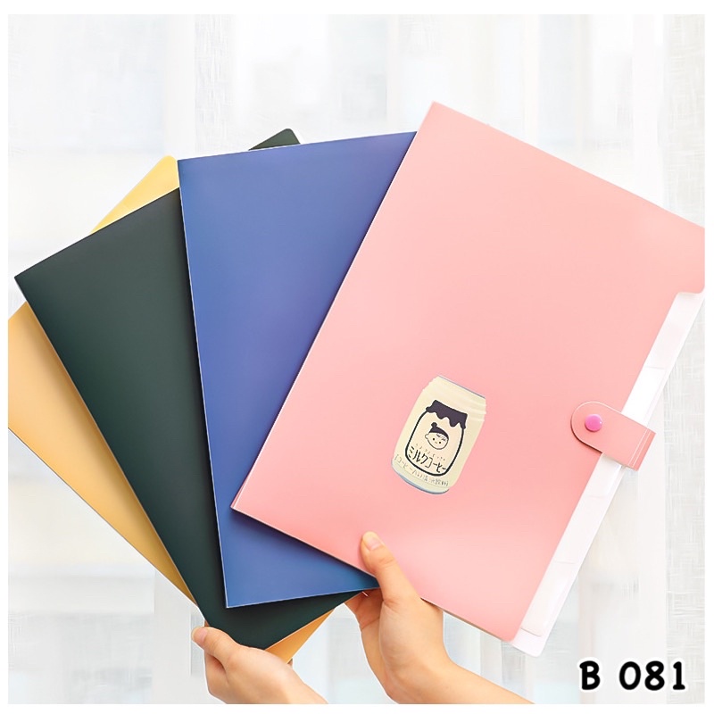 Jual B 081 | FILE FOLDER 6 SLIDE MOTIF POLOS | DOCUMEN BAG 6 POCKET ...