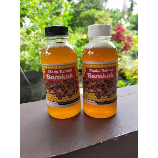 

Madu kelulut asli kalimantan