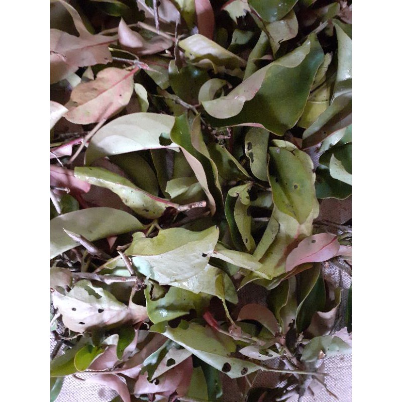 

banlu cengkes asli 500gr