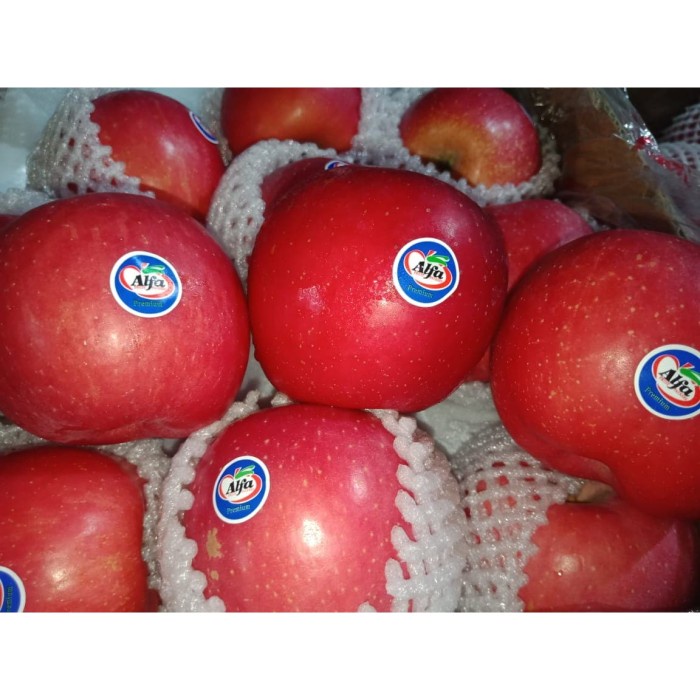 

[fresh] apel fuji alpa