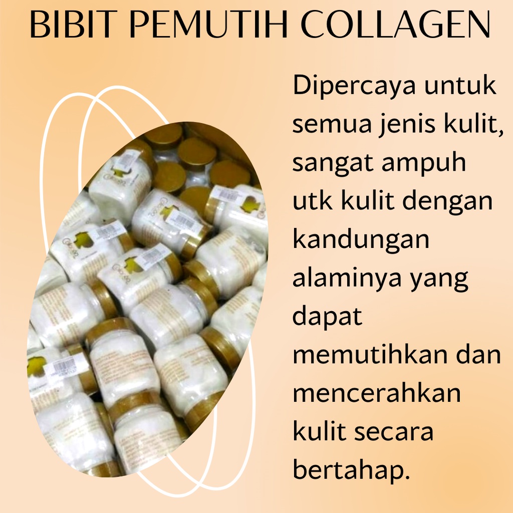 Bibit Pemutih Collagen - Handbody Lotion Pemutih Kulit Luluran Pemutih Badan Cream Glowing Permanen Bibit Collagen Shcosmetic 150ml Ori Bpom