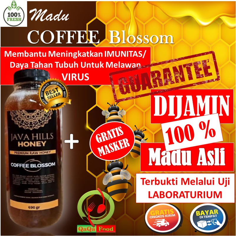 

Madu asli Nektar Kopi Coffee Madu Mentah JAVA HILLS Premium Raw Honey Alami Obat Herbal 650 Gram