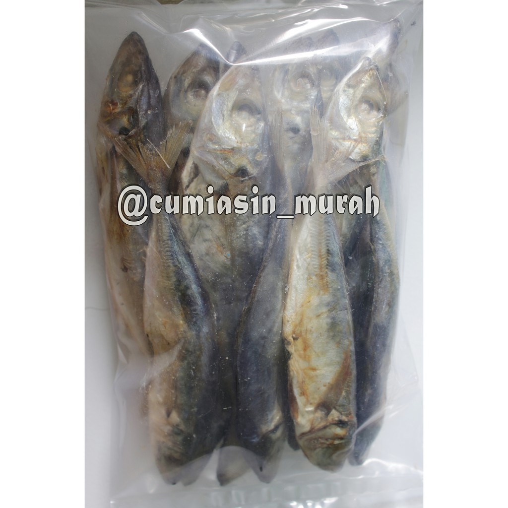 

Ikan Peda Super 1kg
