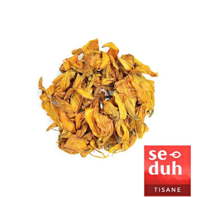 

Teh Bunga Lily Oranye / Orange Lily Flower Tea Tisane 10 gram / 50 gram