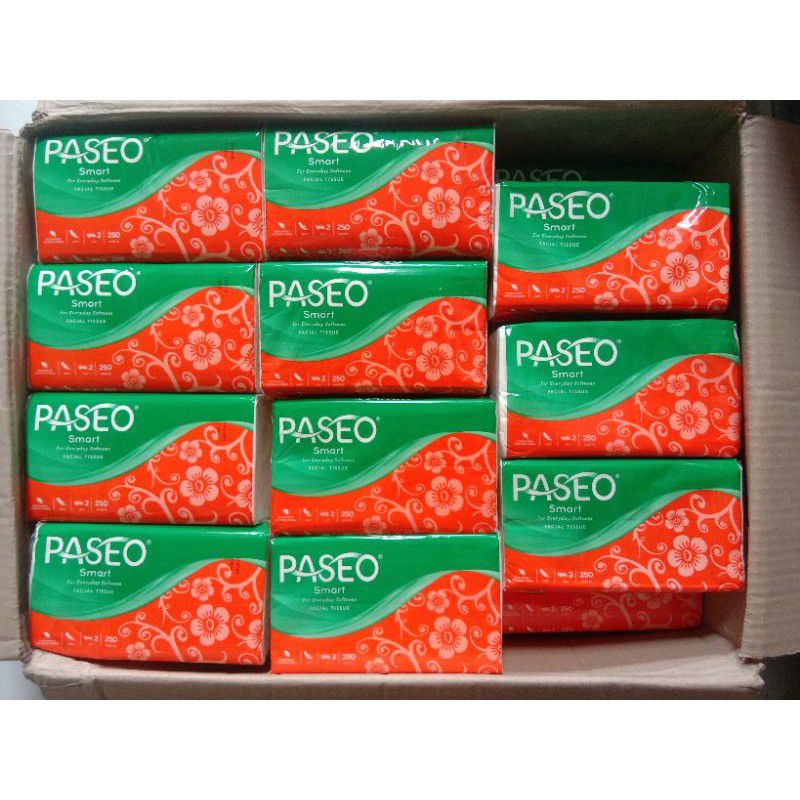 TISSUE PASSEO 250 SHEET / TISU PASEO 250