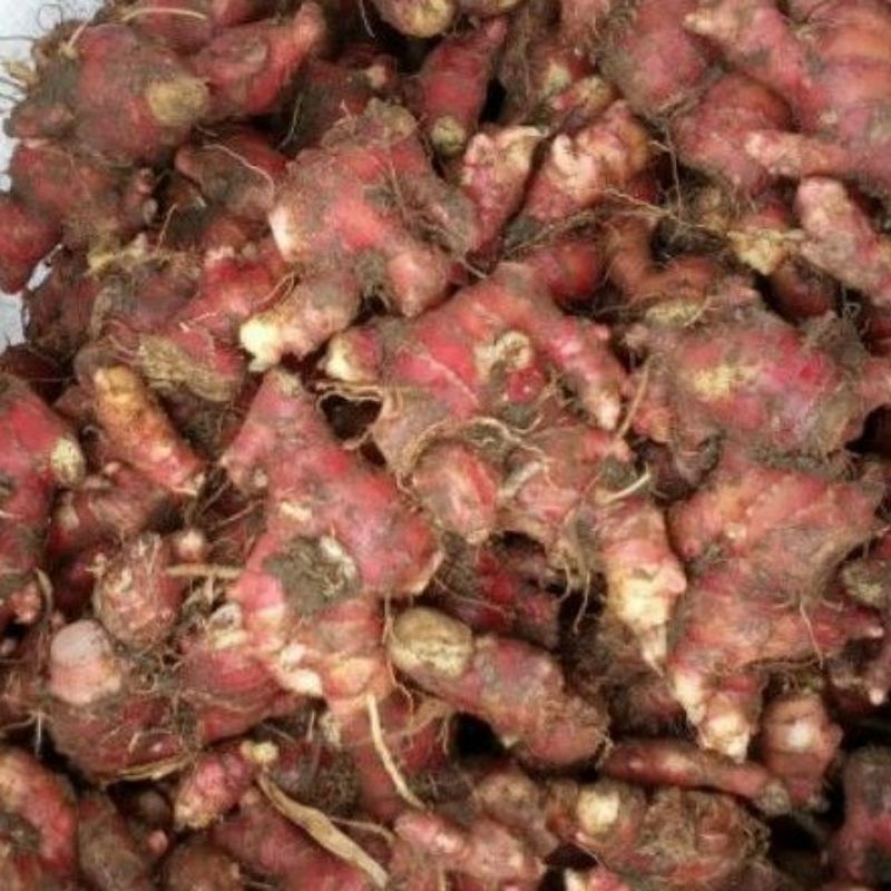 

jahe merah 1 kg