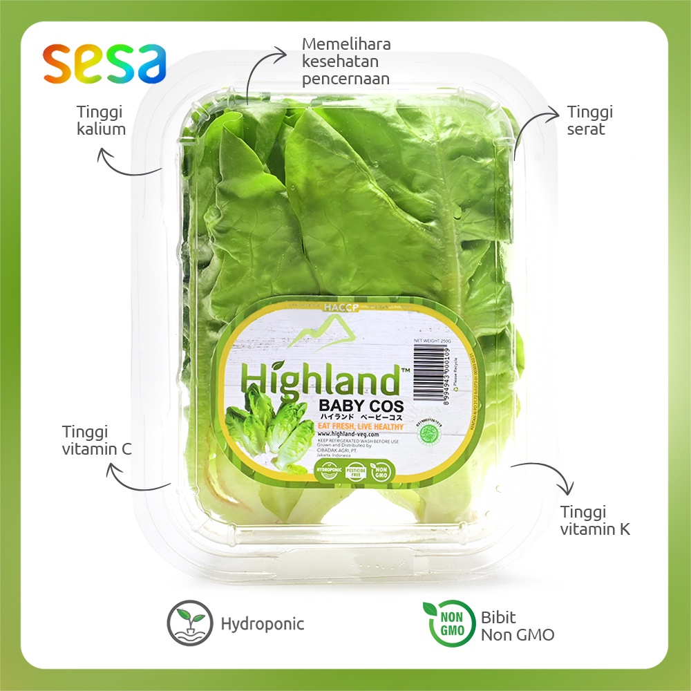 Highland - Salad Baby Cos 250 g