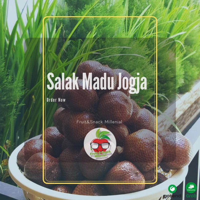 

Salak Madu Asli Lereng Merapi / 5kg