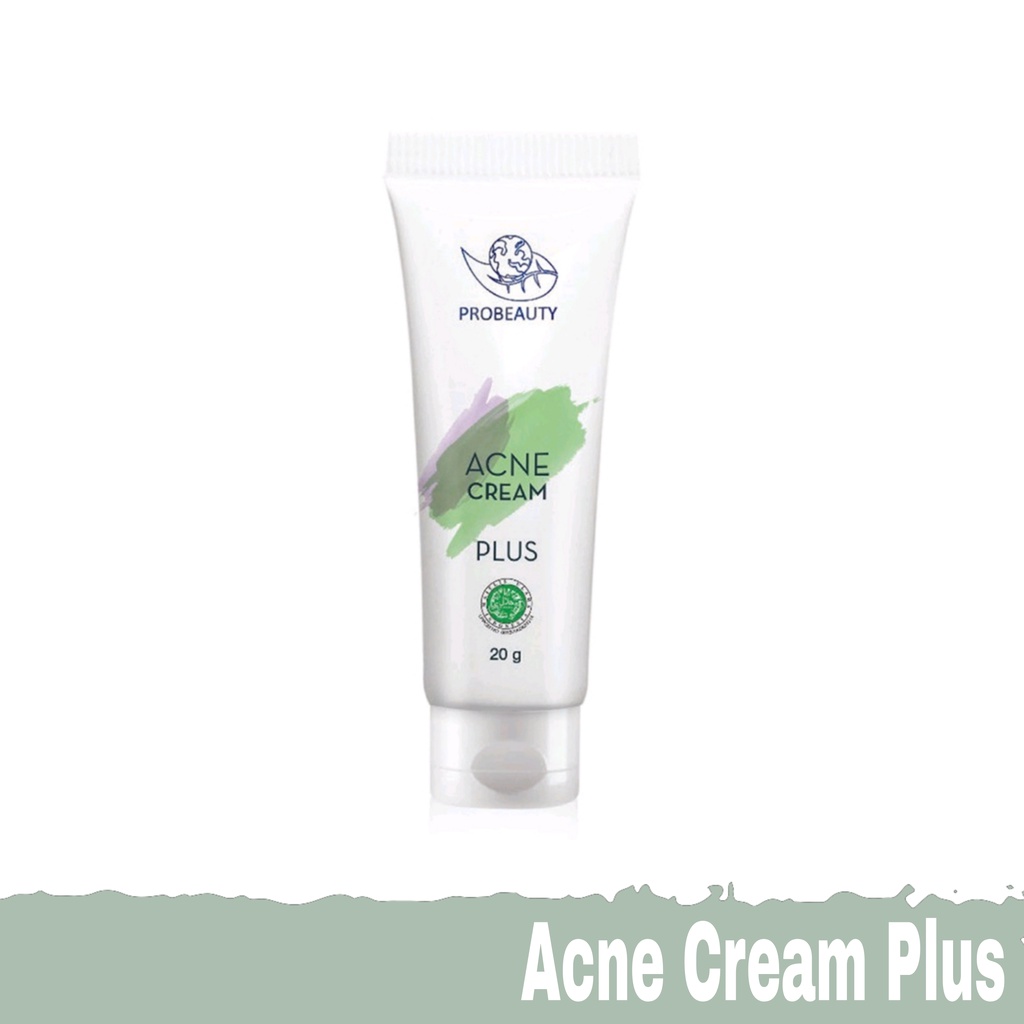 Probeauty Skincare Acne Cream Plus whitening acne | Skincare Bpom Original | Krim Untuk Kulit Jerawa