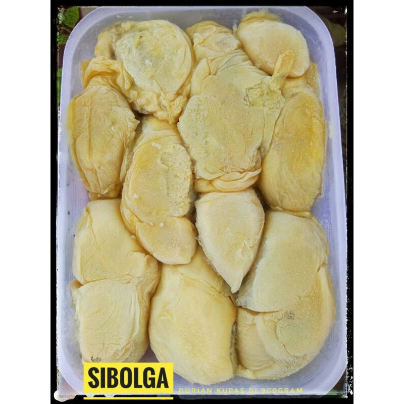 

Durian Kupas Sibolga