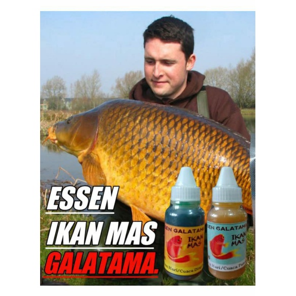 Essen pancing ikan mas / essen jahat / essen R-46 / essen ampuh / pemikat ikan