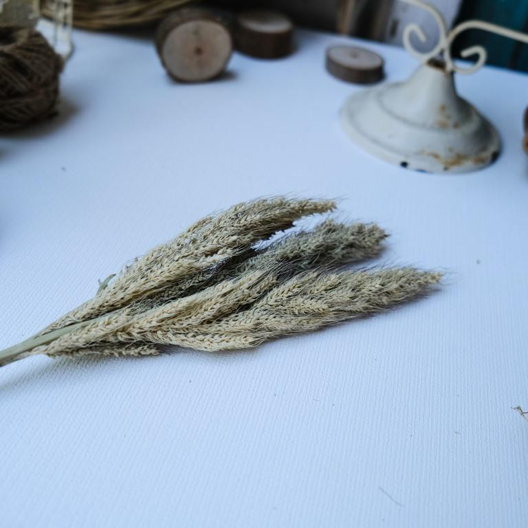 BUNGA KERING DRIED FLOWER JAWAN 7 BATANG Bahan Kerajinan Untuk Dekorasi Rustic &amp; Craft