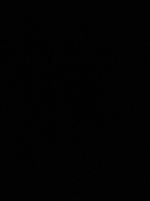 Frenzy Kotak Makanan 12set Original