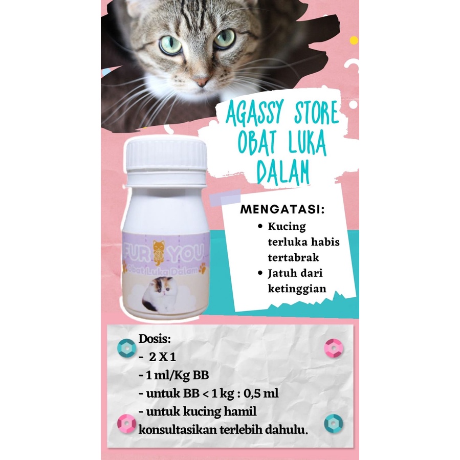 FurYou penanganan luka dalam kucing luka kucing