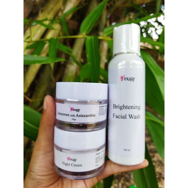 Paket Flek Basic Inusa Skincare