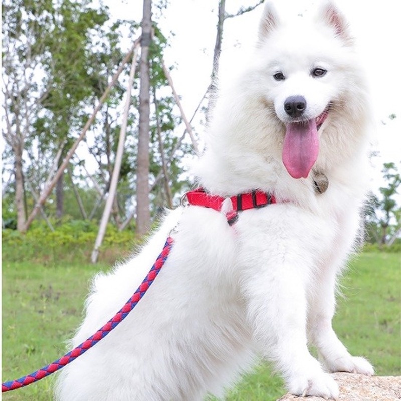 ★〓YUFeiPet〓★ Dog Leash Pet Dog Walking Rope Medium and Small Dog Collar Vest Style Puppy Dog Chain Three-piece Suit