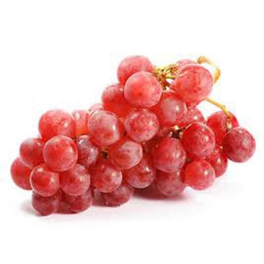 Bibit Tanaman Buah Anggur Merah