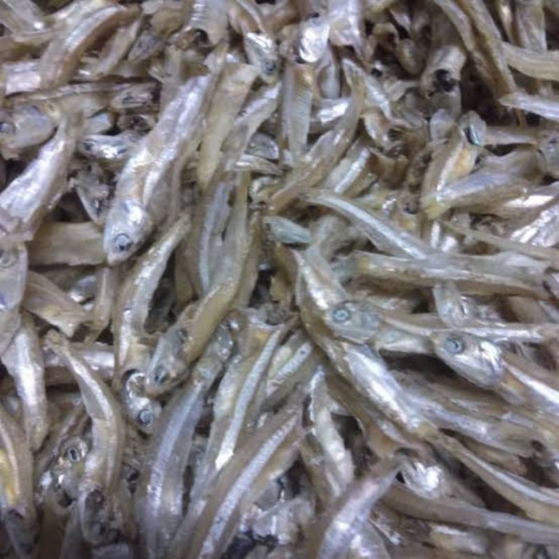 

ikan bilis tanjungpinang