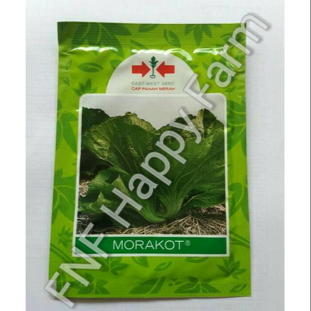 Benih Sawi Pahit Morakot | 20gram