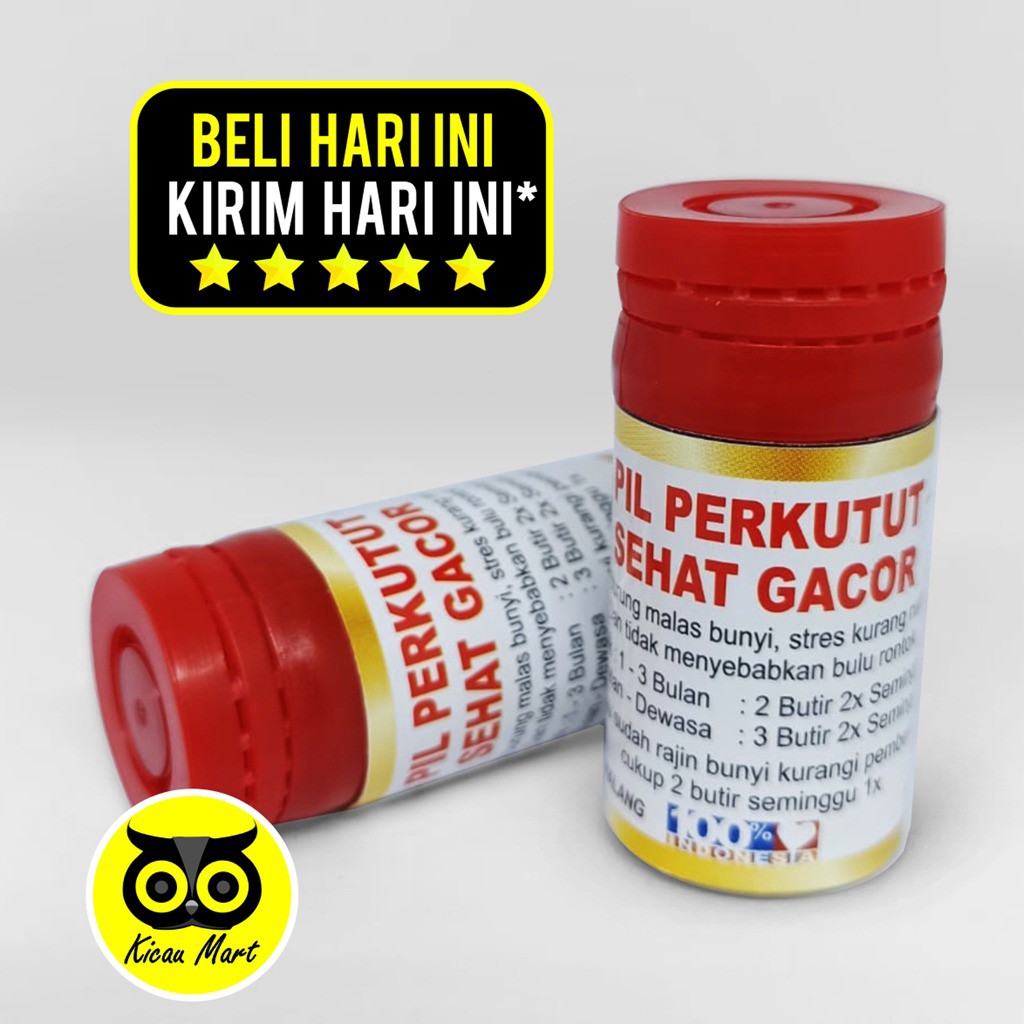 PIL PERKUTUT GACOR JAMU OBAT DOPING BURUNG PERKUTUT PUTER DERKUKU TEKUKUR ANTI MACET PILEREN PILSGC
