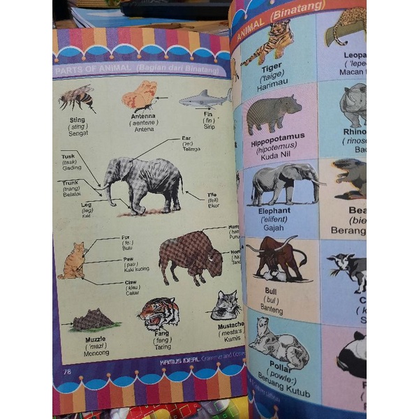 Kamus Ideal Bergambar Grammar and Conversation - LM-3