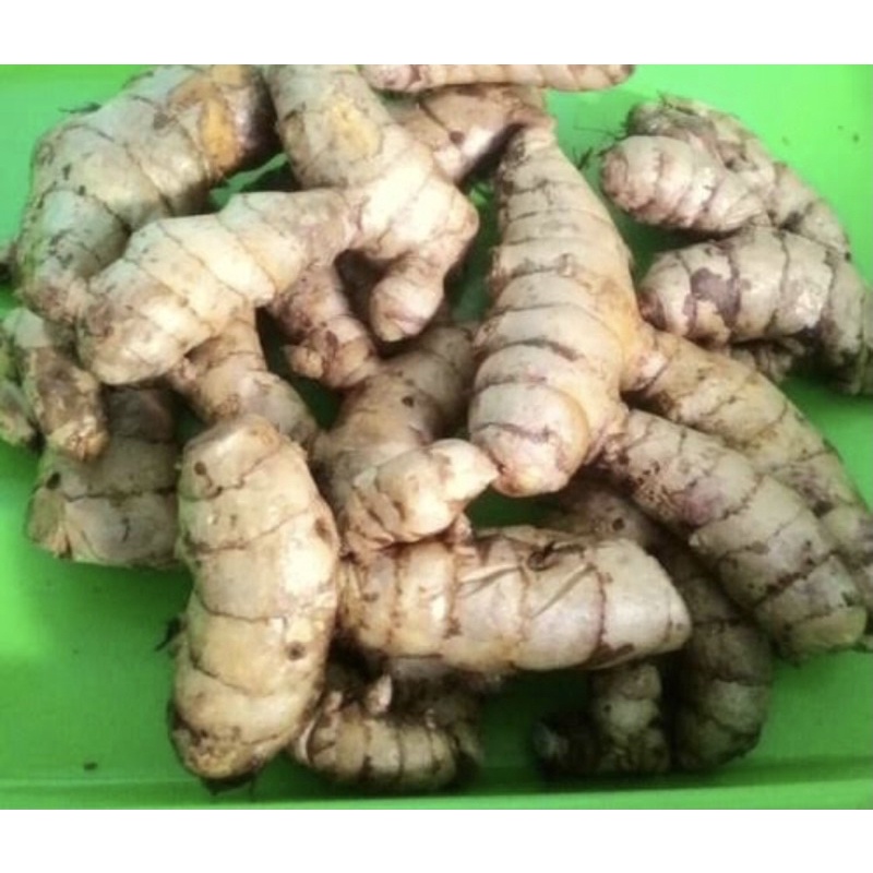

temu hitam/500g/ASLI temu ireng