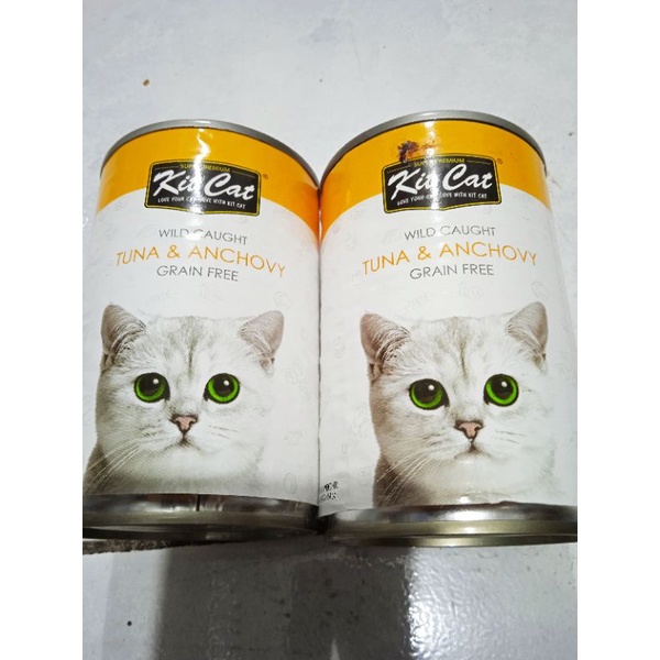 KIT CAT KALENG 400g TUNA &amp; ANCHOVY